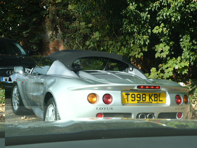lotus 017.jpg