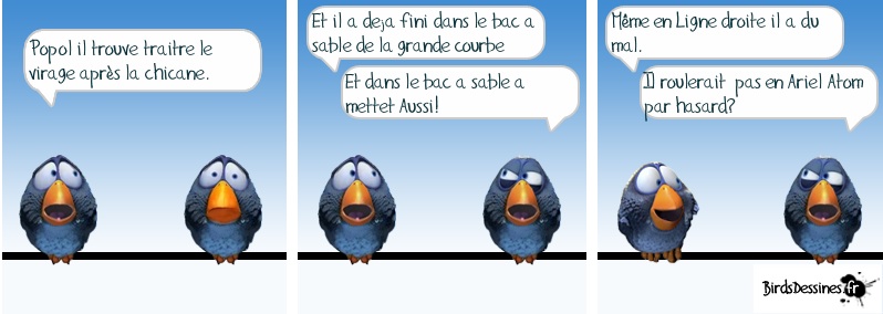 birdsdessines_perso - copie.jpg