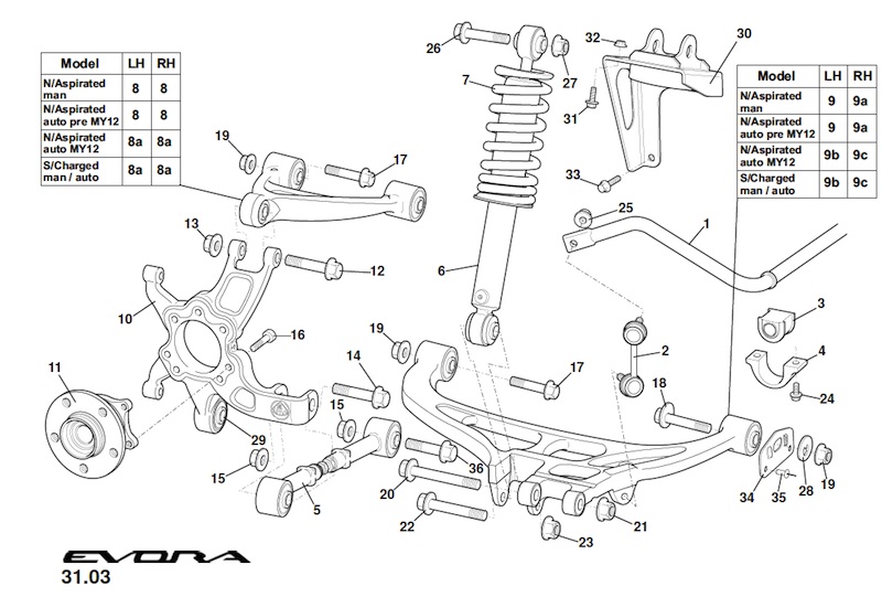 evorarear - copie.jpg