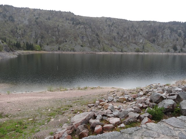 V19.JPG