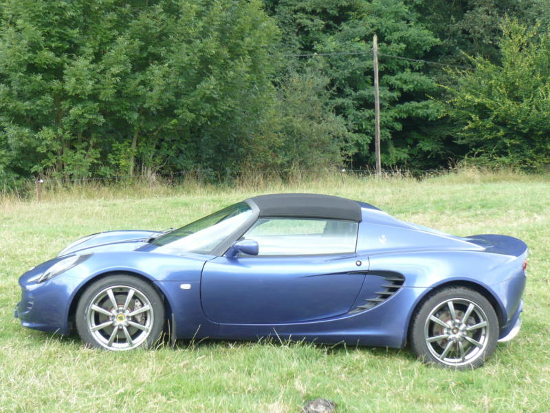 Elise 111r (2) F.JPG