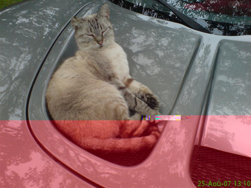 DSC00373 (Medium).JPG