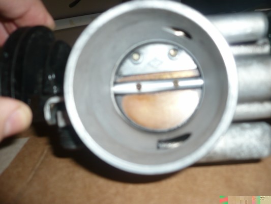 PAPILLONb 48MM.JPG